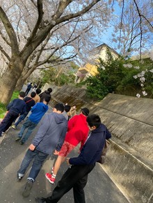 桜を見に行きました～！